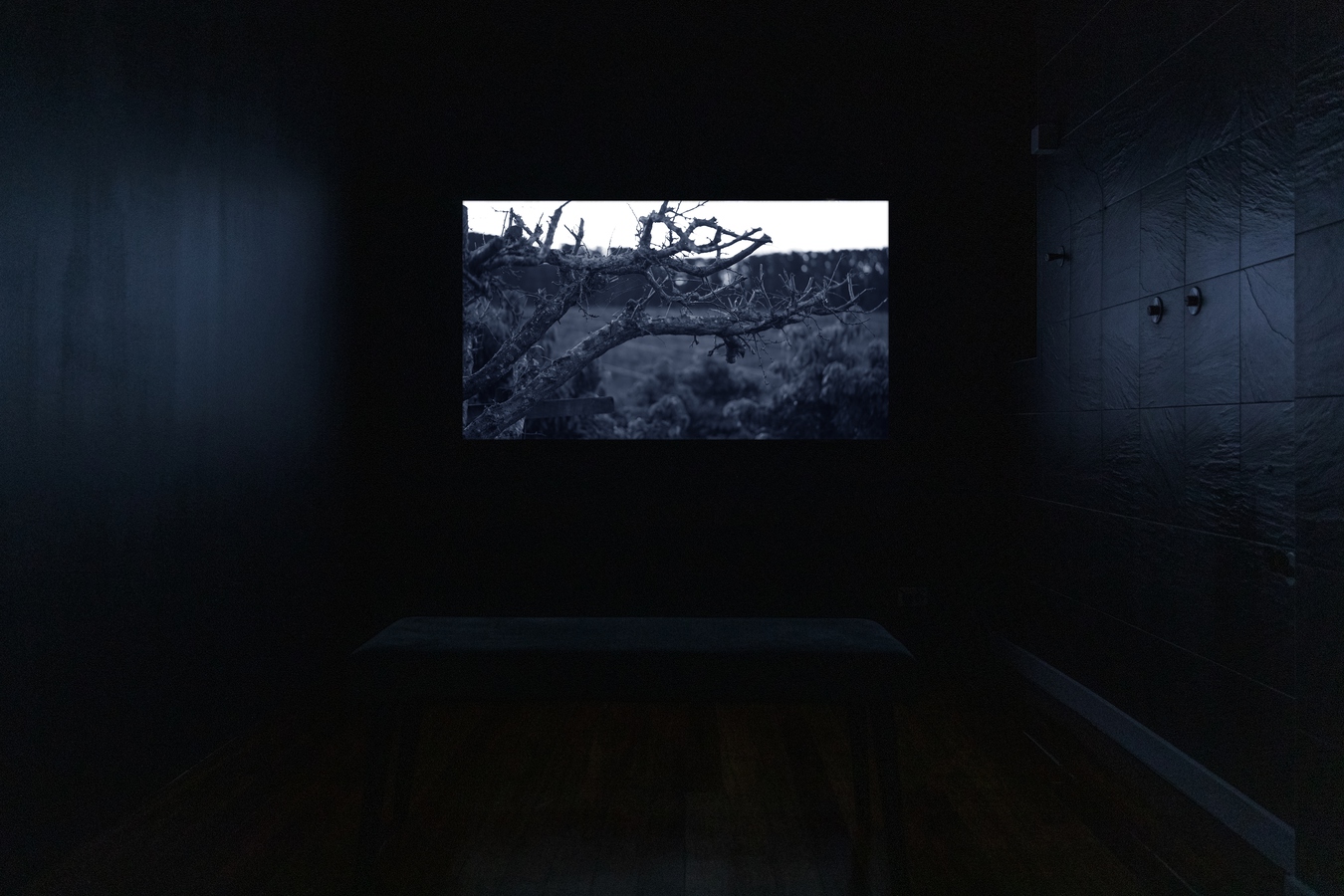 Image: James Tapsell-Kururangi, Homman (installation view), 2023. Single-channel, 4K video. 8:21 mins. Photo by Nancy Zhou.