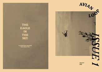 Avian Loop