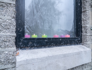 Episode 16, 19 December 2025