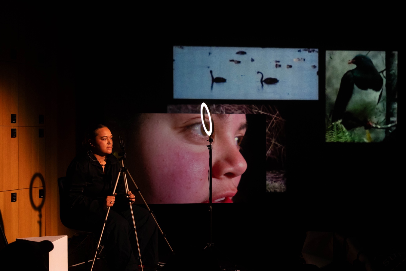 Artist, Bea, holds a tripod with a phone attached up to her face. In the background we see a mix of imagery- Swans on water, a kereru in a tree. the largest image is a close upn of Janayes face