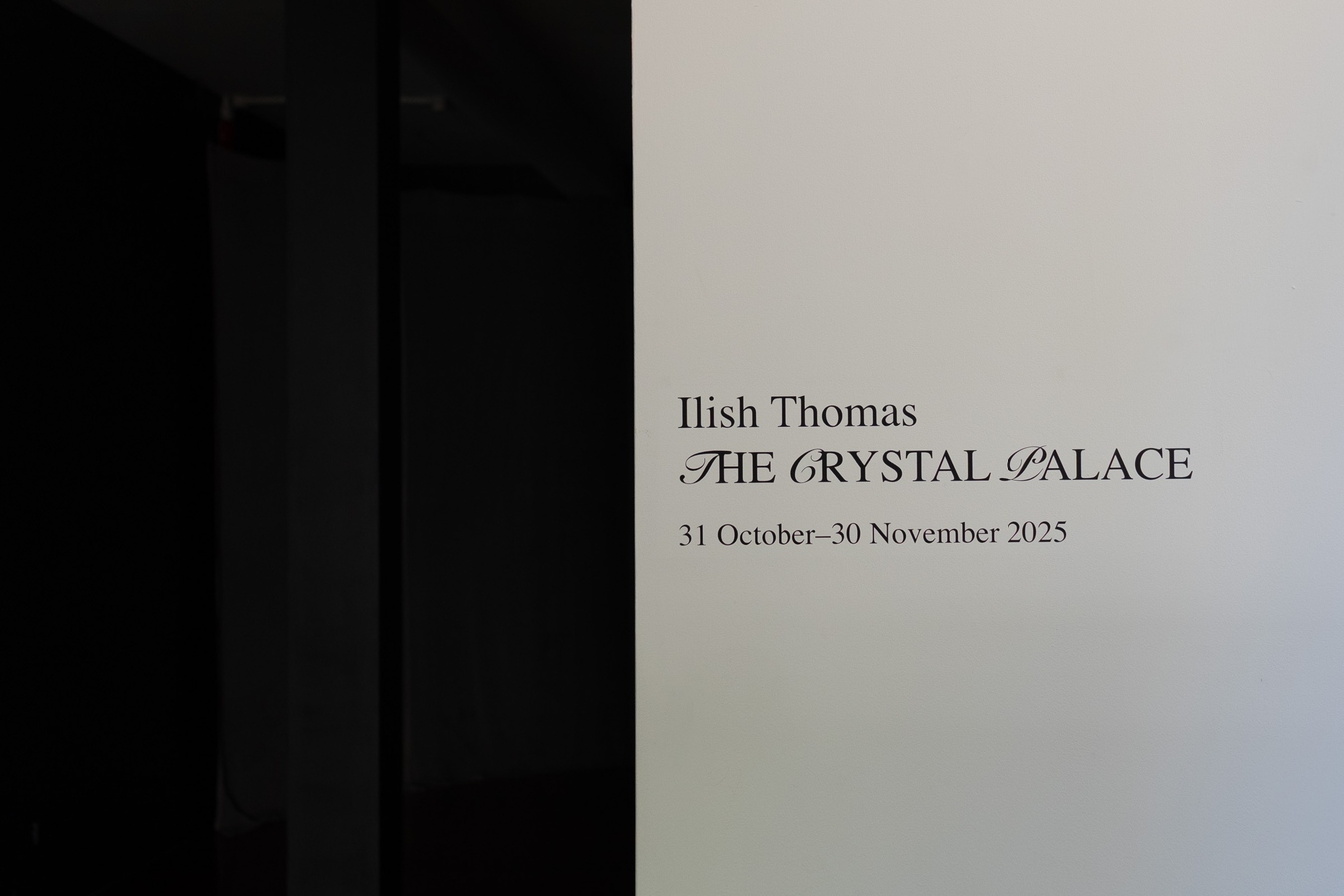 Ilish Thomas, The Crystal Palace (installation view), 2025. Photo by Bri Lawrence.