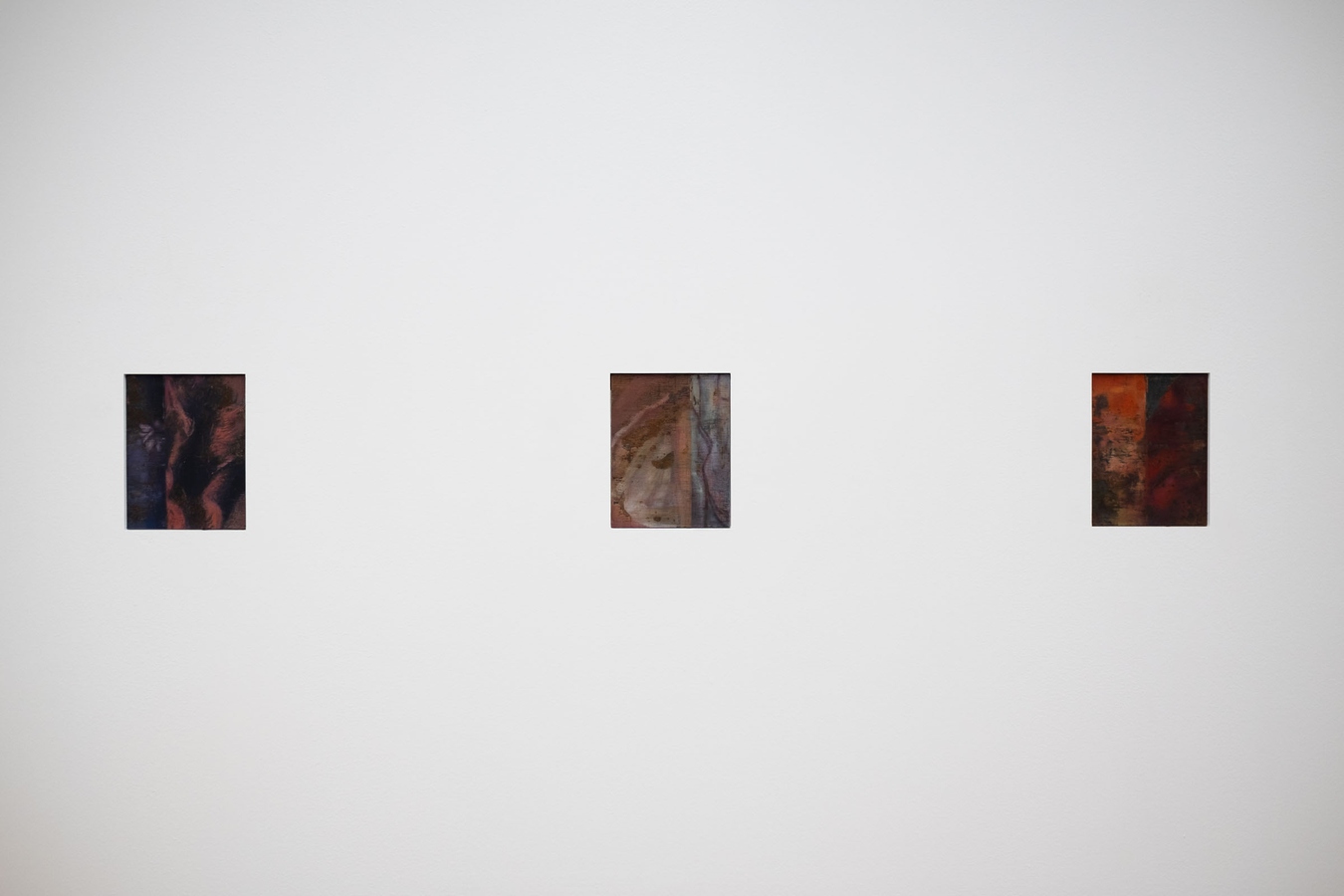 Tyne Gordon, Untitled (windows), 2026. Oil on mild steel, three panels. Photo by Bri Lawrence.