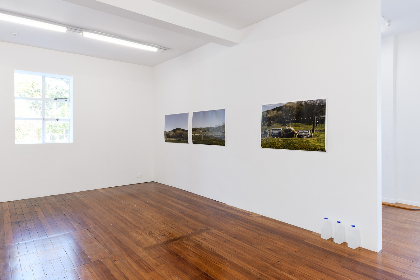 install view,  inside the gallery of the artists work