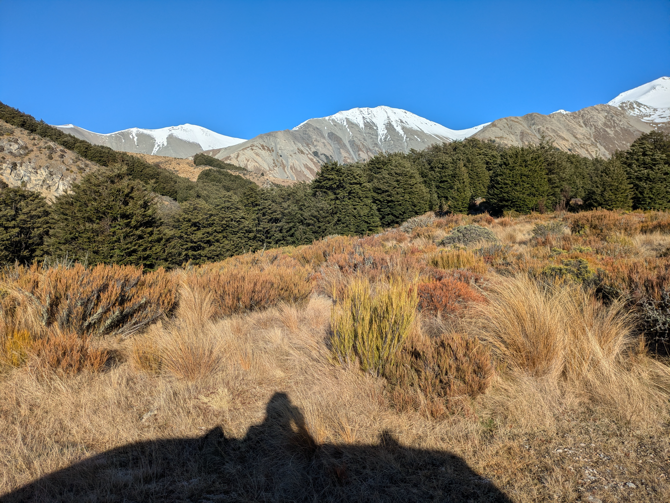 Landscape photograph of Craigieburn,Range