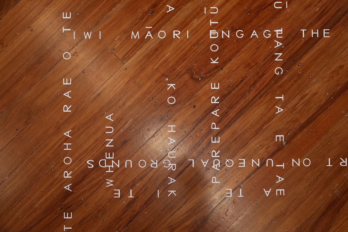 Ashleigh Taupaki, Te Whakatau (detail), 2026. Vinyl. Photo by Bri Lawrence