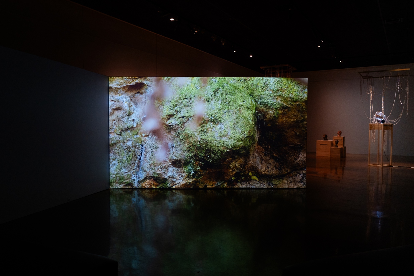 Image: Dilohana Lekamge, A softer limestone (installation view), 2023. Single-channel video and sound. 7'01". Photo by Rosa Nevison.
