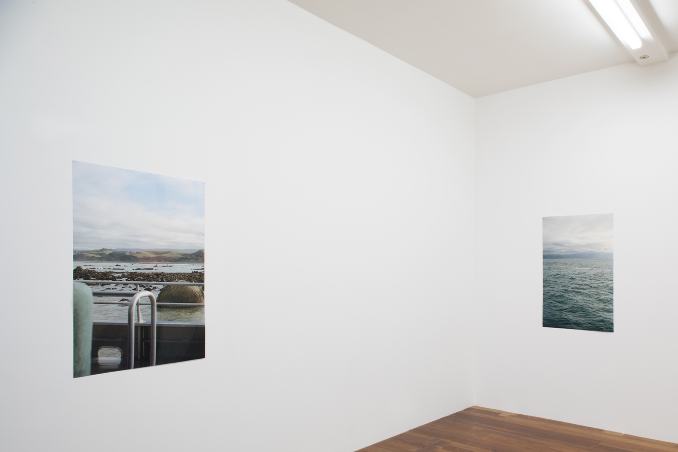 Left: Emily Parr, Te Ao Mārama (installation view), 2021. Right: Emily Parr, Tiaki’s Flukeprint (installation view), 2021. Photo: Janneth Gil.