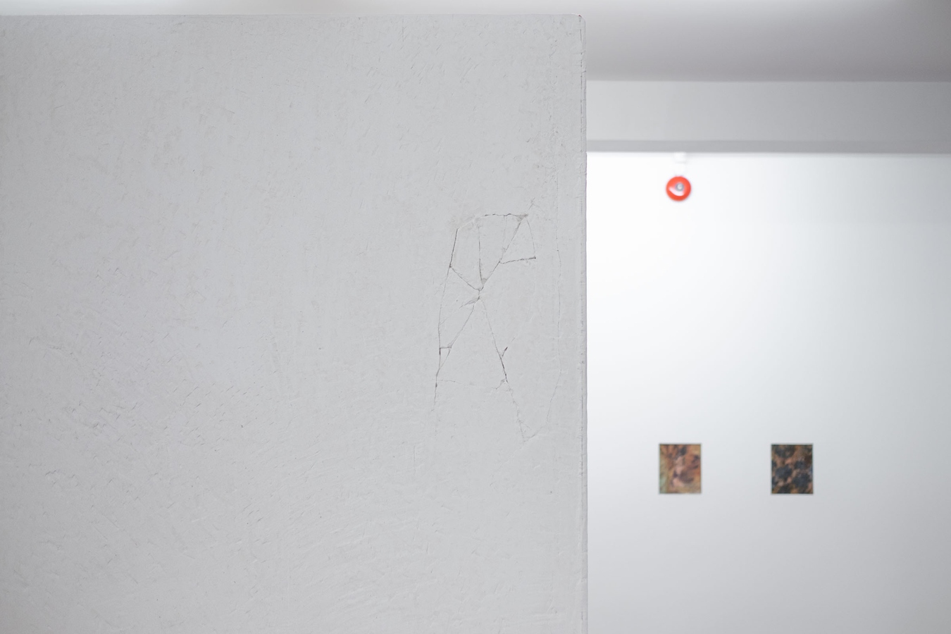Tyne Gordon, Untitled (panels), 2026 (left), and Untitled (pattern), 2026 (right). Photo by Bri Lawrence.