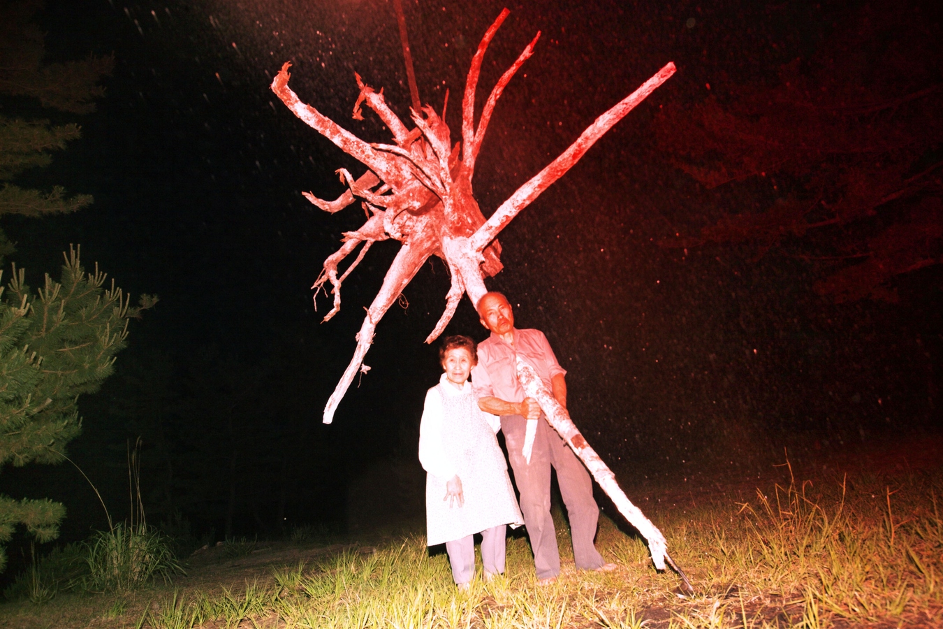 Portrait of Cultivation, 2012 from the RASEN KAIGAN series, 2012