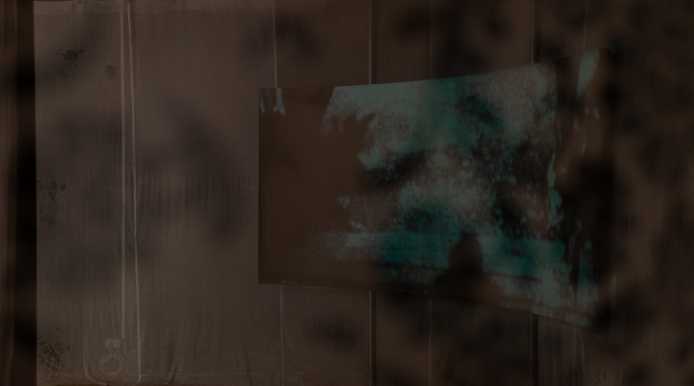 Ilish Thomas, The Crystal Palace (installation view), 2025. Photo by Bri Lawrence.