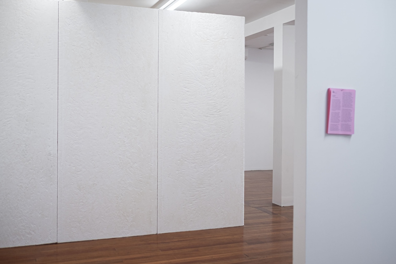 Desert Rose with Untitled (panels), 2026 (foreground). Gib board. Photo by Bri Lawrence.