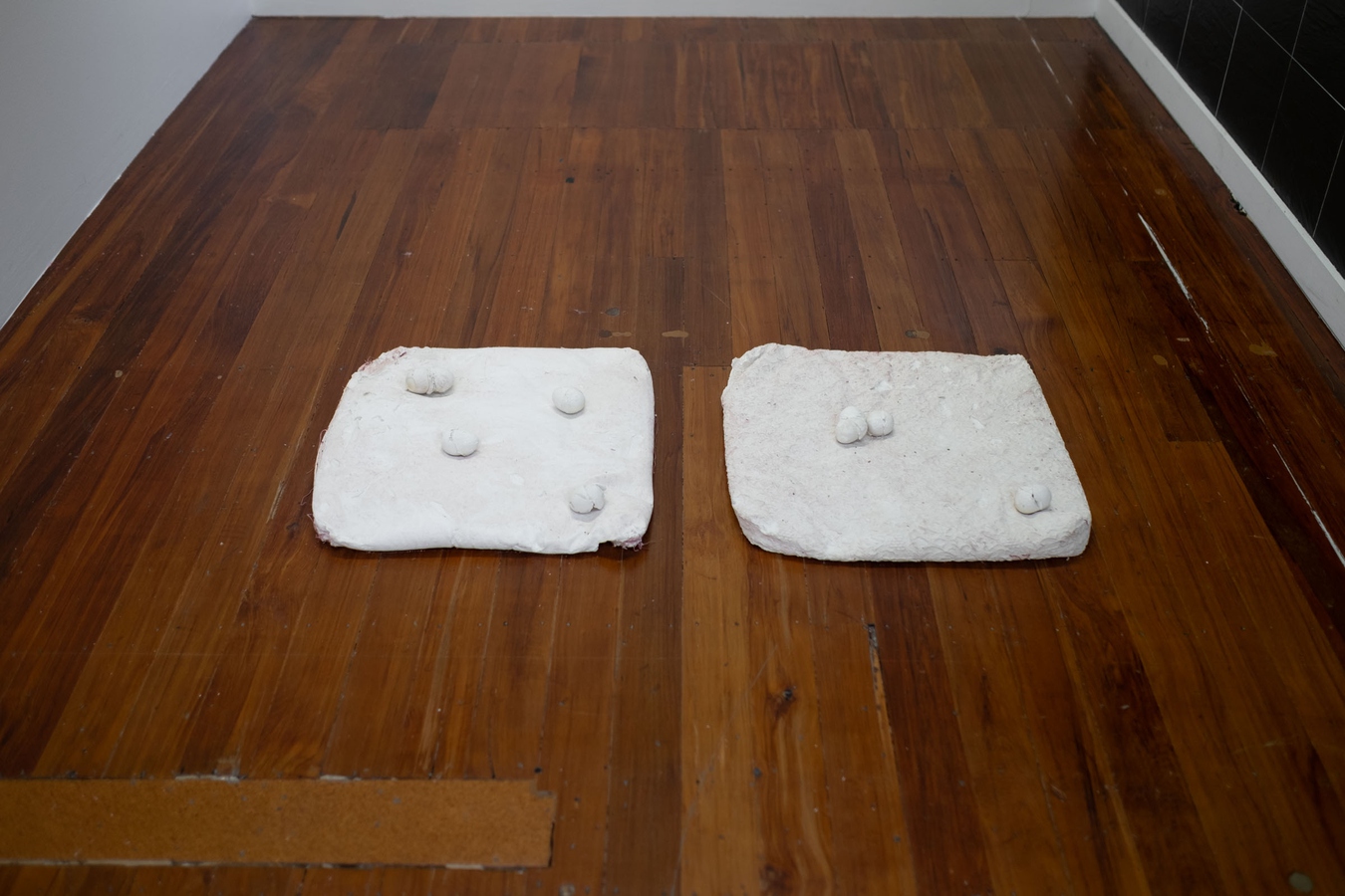 Tyne Gordon, Untitled (pillows), 2026. Cast plaster. Photo by Bri Lawrence.