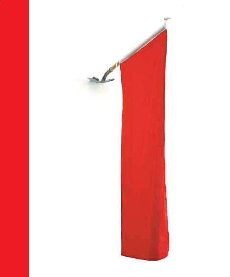 Public Good cover image:Untitled (Flag) (2007) Dane Mitchell
