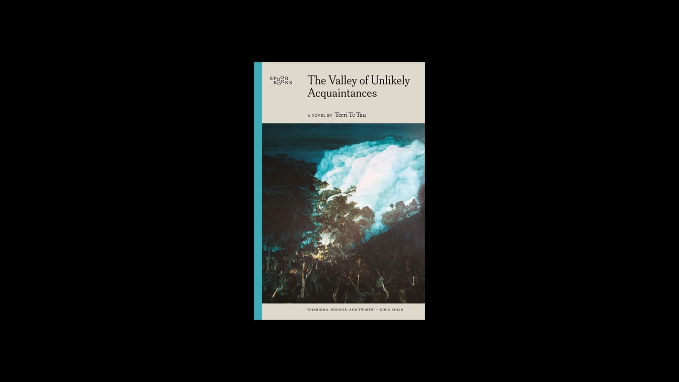 Book cover of The Valley of Unlikely Acquaintances by Terri Te Tau