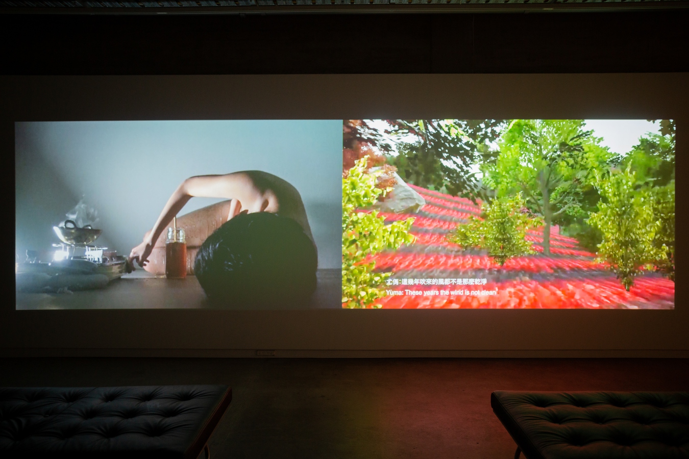 Image: Anchi Lin (Ciwas Tahos), Perhaps she comes from/to__Alang (installation view), 2021. Photo by Amy Weng.
