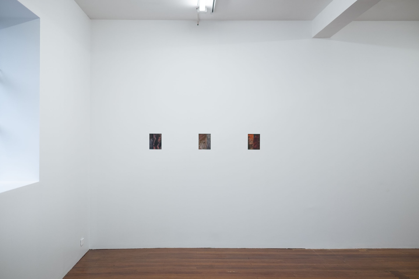 Tyne Gordon, Untitled (windows), 2026. Oil on mild steel, three panels. Photo by Bri Lawrence.