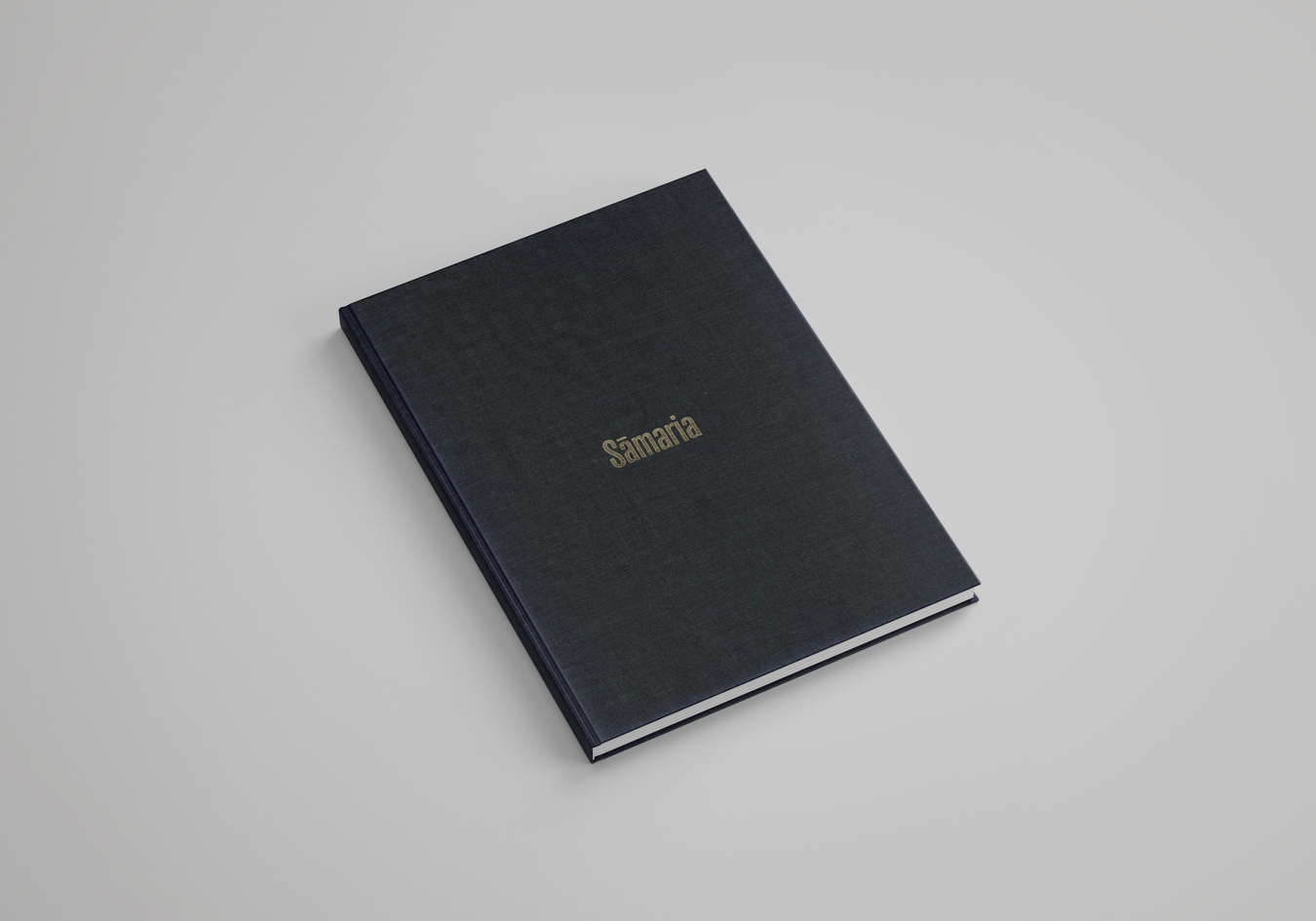 cover image of publication