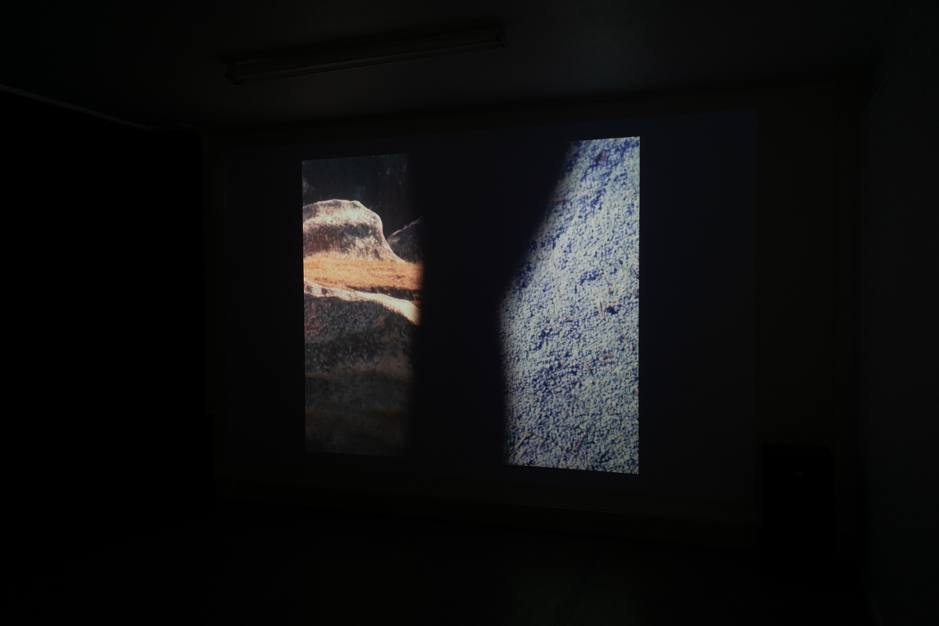 Luke Shaw, Sleepwalker (installation view), RM Gallery, Tāmaki Makaurau, 2023. Photo: Bri Lawrence.