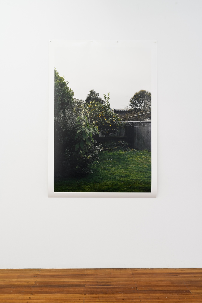artwork, large format photograph, of a domestic backyard, with clothes line and lemon tree