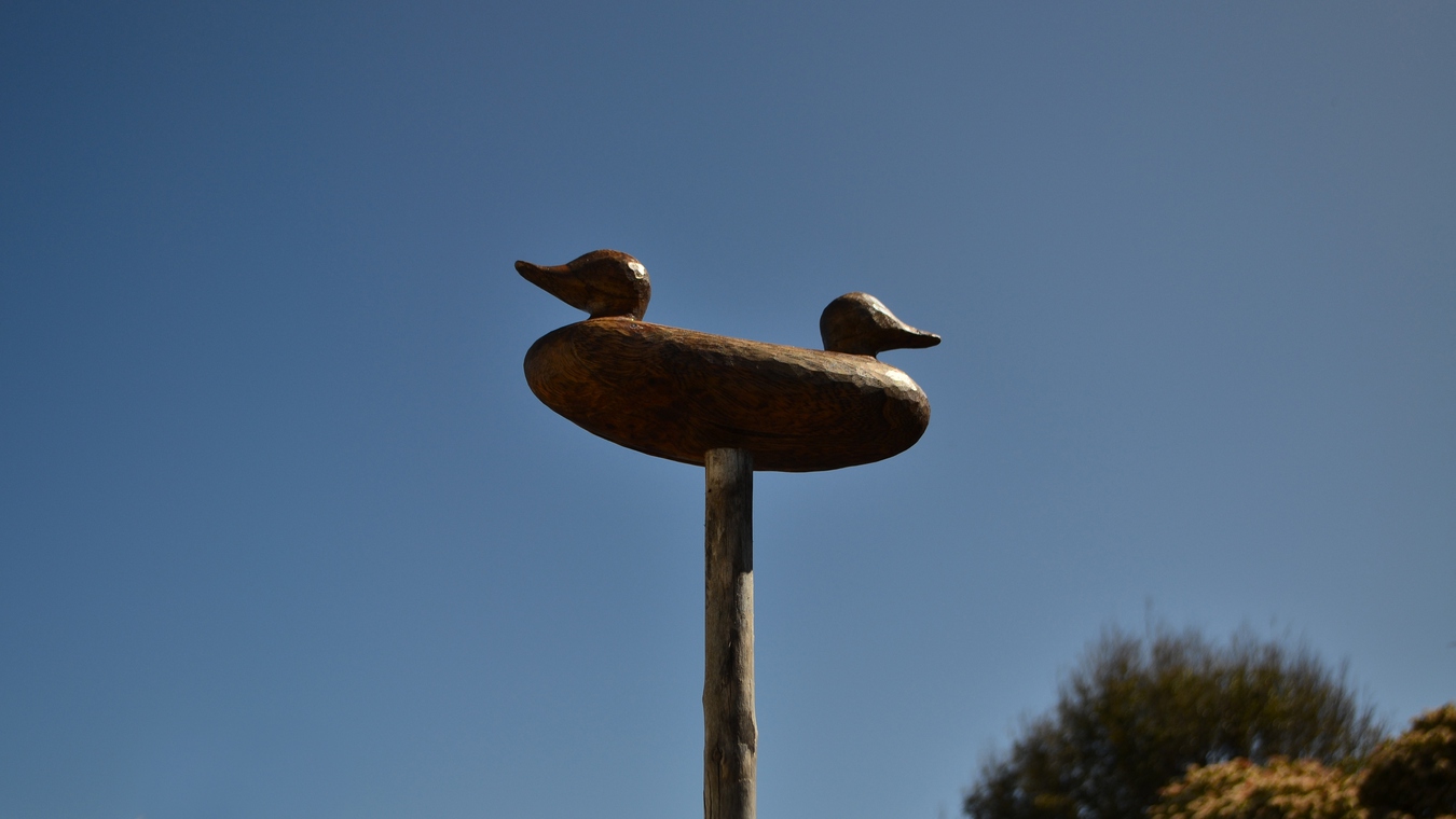 Steven Junil Park, Gazing at two horizons, 2024. Elm wood, charcoal, tung oil.