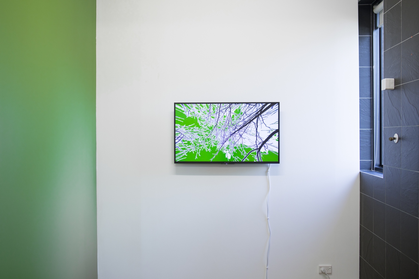 Image: AJ Fata, Wairepo (installation view), 2023Moving image, 3:12 mins, looped. Photo by Janneth Gil.