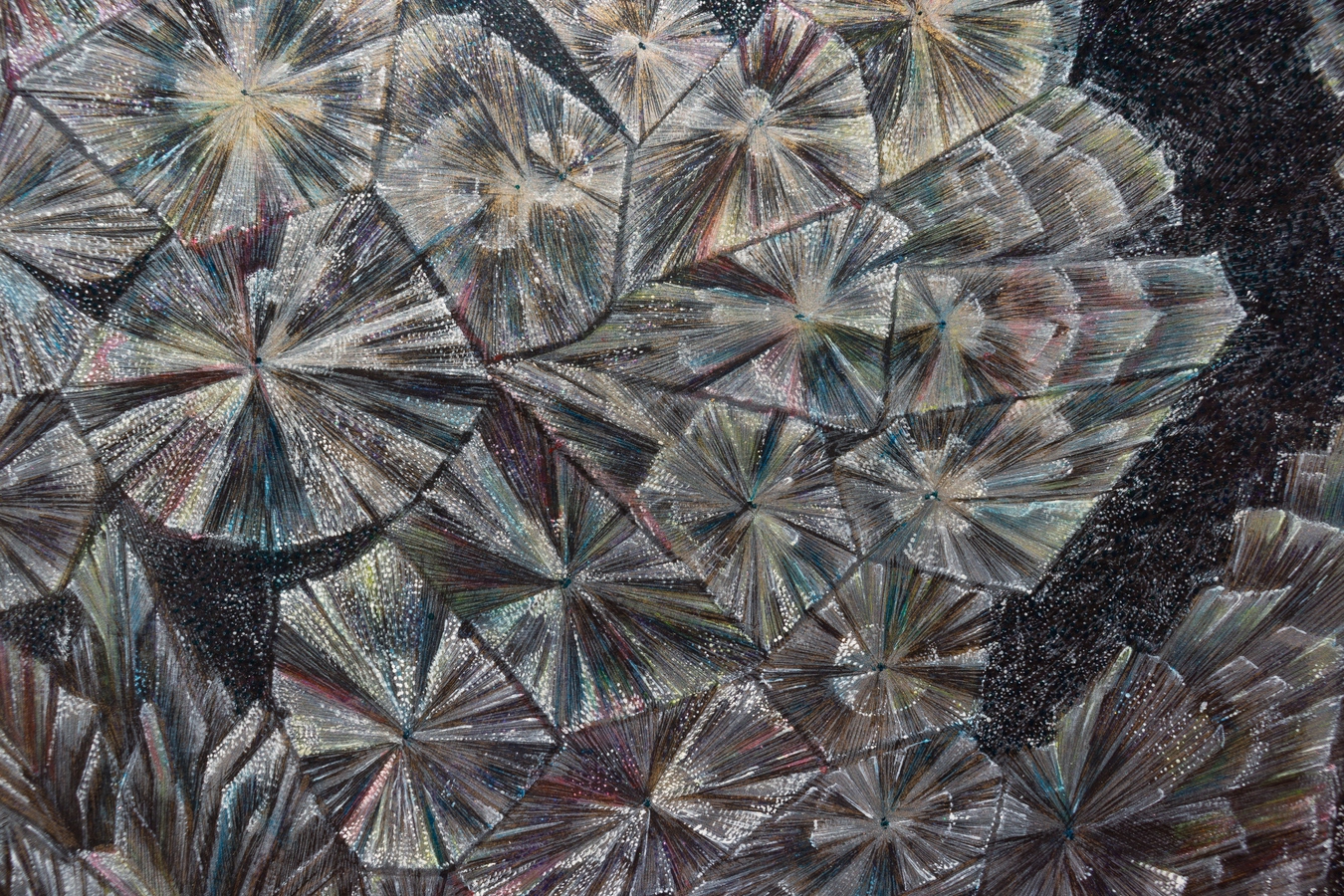Image: Carol Ann Bauer, Crystals (D-L Aspartic) (detail), 1982. Acrylic on perspex. Photo by Lindsey de Roos.