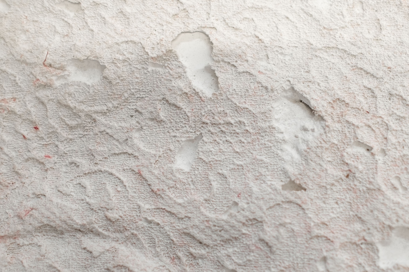 Tyne Gordon, Untitled (pillows) (detail), 2026. Cast plaster. Photo by Bri Lawrence.
