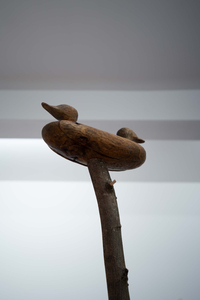 Steven Junil Park, Gazing at two horizons, 2024. Elm wood, charcoal, tung oil. Photo by Bri Lawrence.