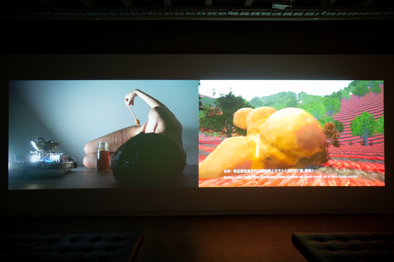 Image: Anchi Lin (Ciwas Tahos), Perhaps she comes from/to__Alang (installation view), 2021. Photo by Amy Weng.