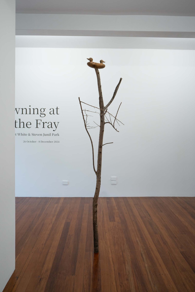 Steven Junil Park, Gazing at two horizons, 2024. Elm wood, charcoal, tung oil. Photo by Bri Lawrence.