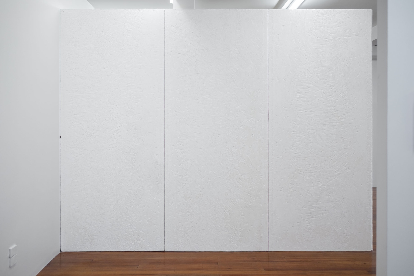 Tyne Gordon, Untitled (panels), 2026. Gib board. Photo by Bri Lawrence.