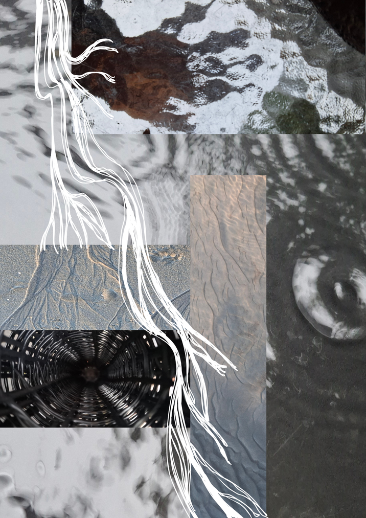 collage of images of water