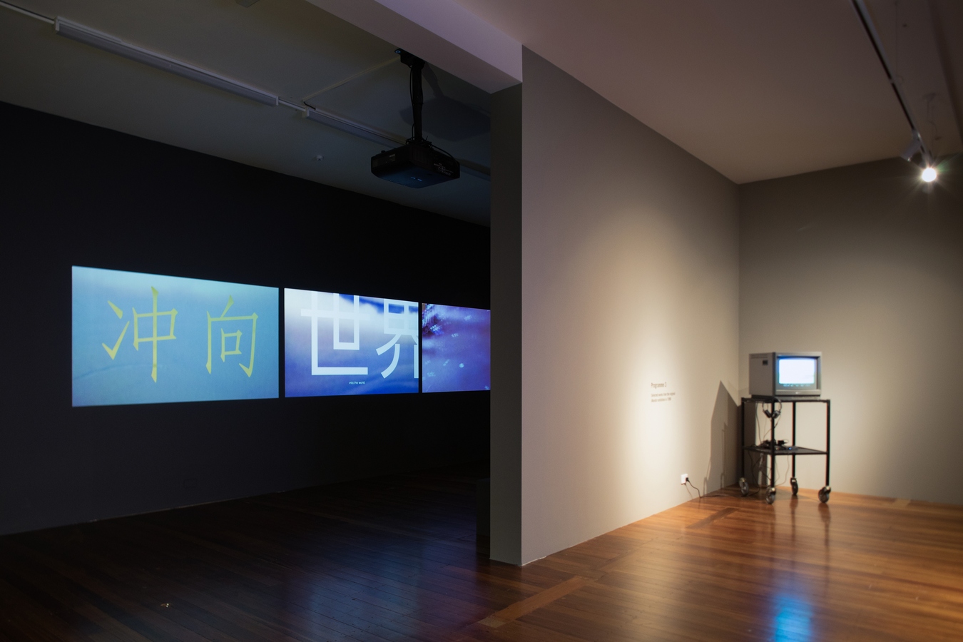 Image: Monitor 3.1 (installation view) curated by Sean Kerr, Michelle Wang, and Jamie Hanton with a new commission by Qianye Lin and Qianhe 'AL' Lin. Photo: Janneth Gil.