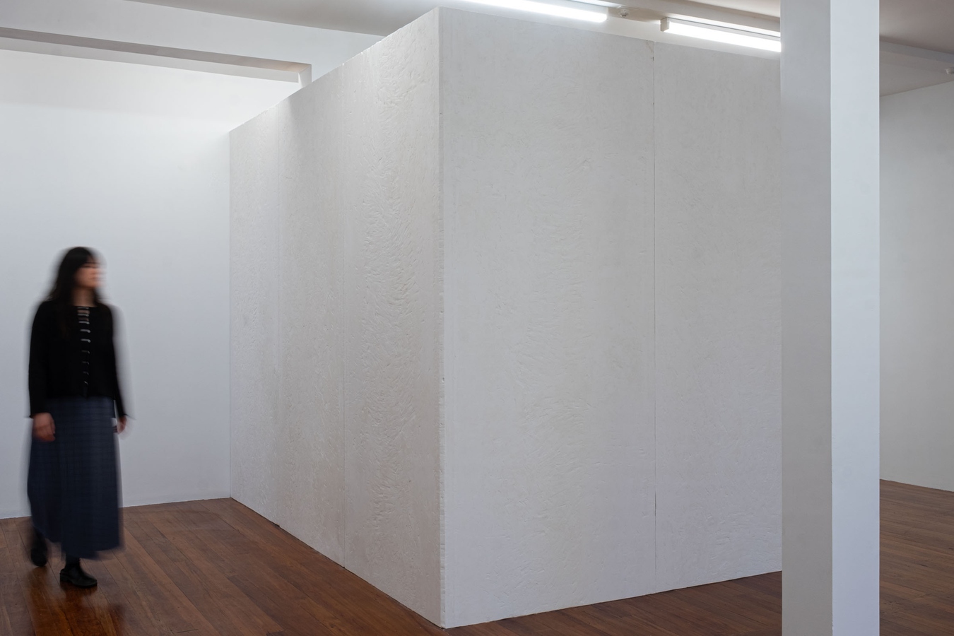 Tyne Gordon, Untitled (panels), 2026. Gib board. Photo by Bri Lawrence.