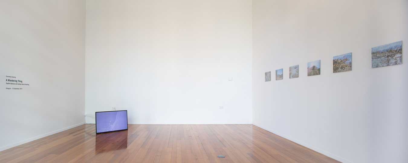 Image: A Wandering Thing (exhibition view), Sophie Bannan and Joshua Harris-Harding. Photo: Janneth Gil.