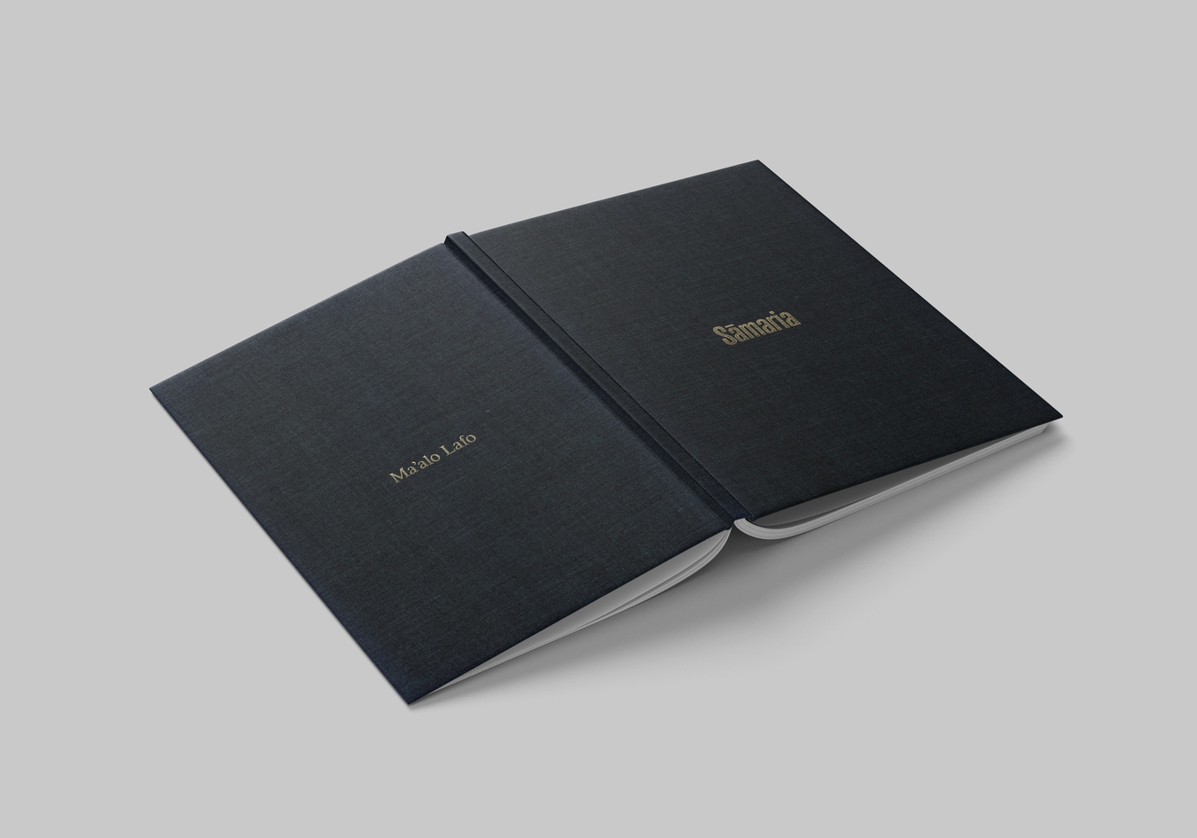 front and back image of publication
