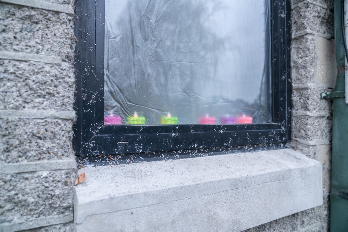 Abigail Aroha Jensen, Vanity Kit (detail), 2025. Photo by Bri Lawrence.